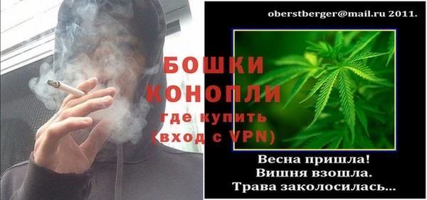 ГАЛЛЮЦИНОГЕННЫЕ ГРИБЫ Горняк