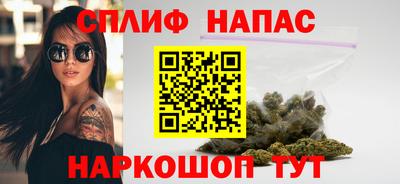 стаф Берёзовский