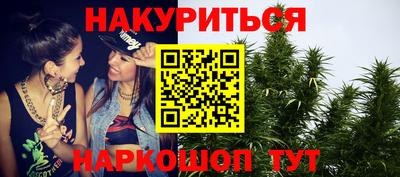 стаф Берёзовский