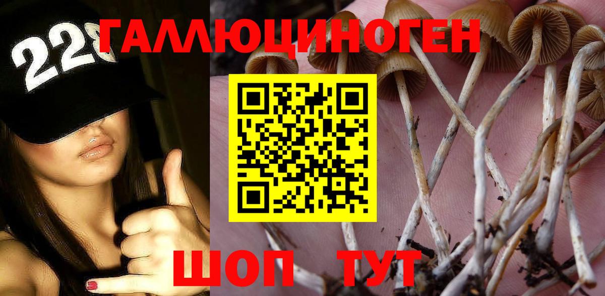 Псилоцибиновые грибы MAGIC MUSHROOMS  Великий Устюг 