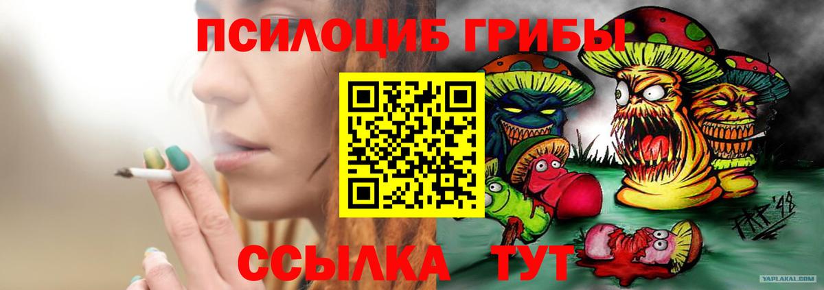 Галлюциногенные грибы Cubensis Великий Устюг