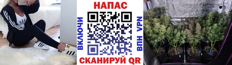 МАРИХУАНА Bruce Banner  Великий Устюг 